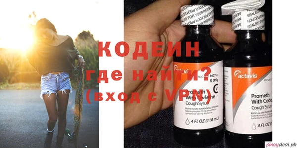 крисы Бородино