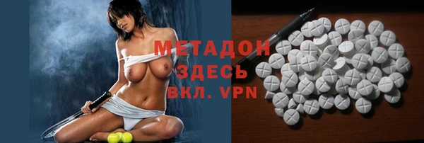 крисы Бородино