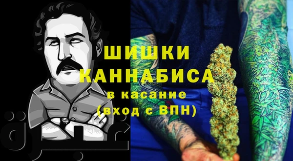 крисы Бородино