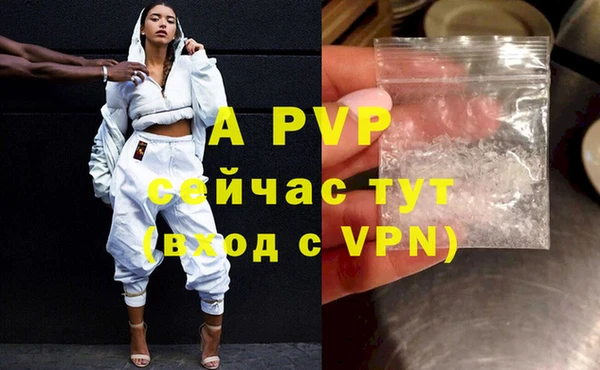 крисы Бородино