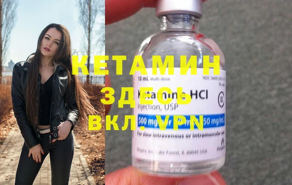 крисы Бородино