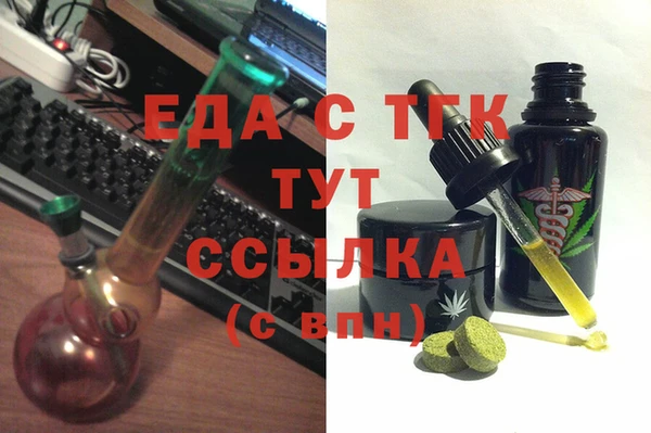 крисы Бородино