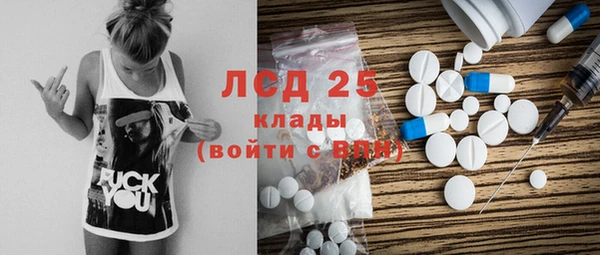 крисы Бородино
