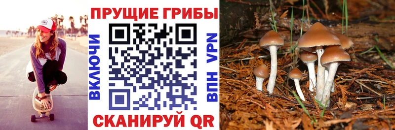 Галлюциногенные грибы мухоморы  закладка  Фёдоровский 